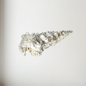 Cast Pewter Large Ceritch Shell ornament