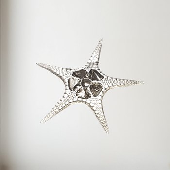 Cast Pewter Fancy Starfish Ornament Cast Pewter Large Fancy Starfish ornament