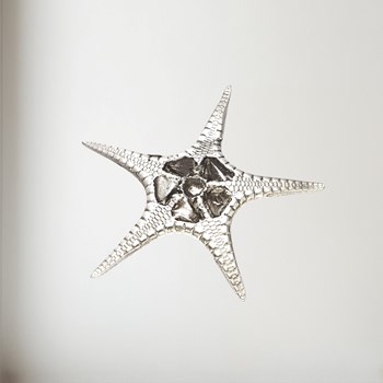 Cast Pewter Small Fancy Starfish Ornament Cast Pewter Small Fancy Starfish ornament