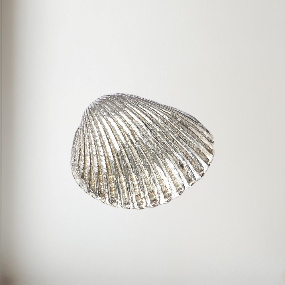 Cast Pewter Small Cockle Shell ornament