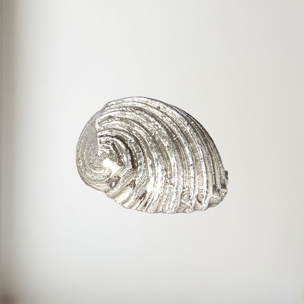Cast Pewter Flat Spiral Shell Ornament cast pewter Flat Spiral Shell ornament