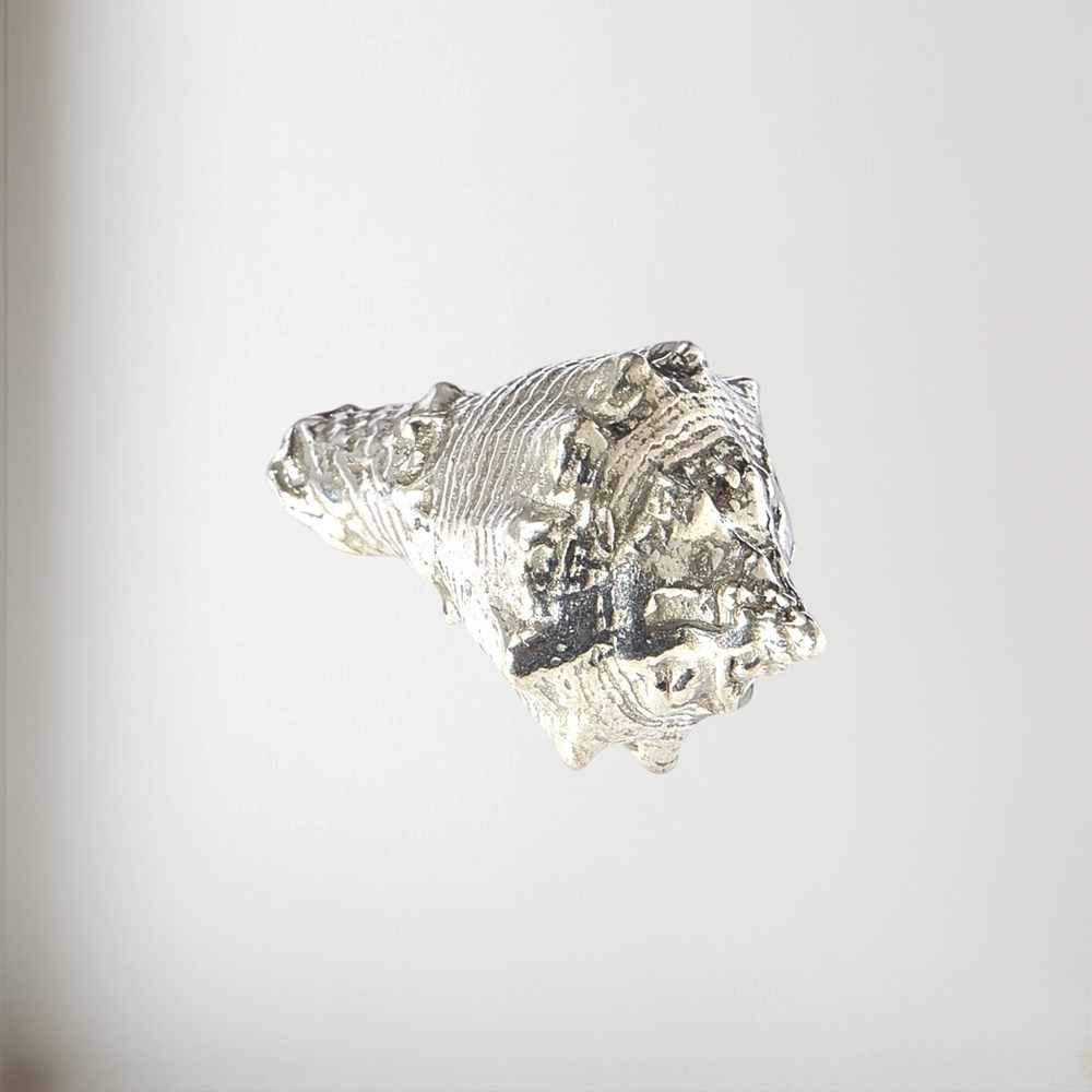 Cast Pewter Conch Shell Ornament